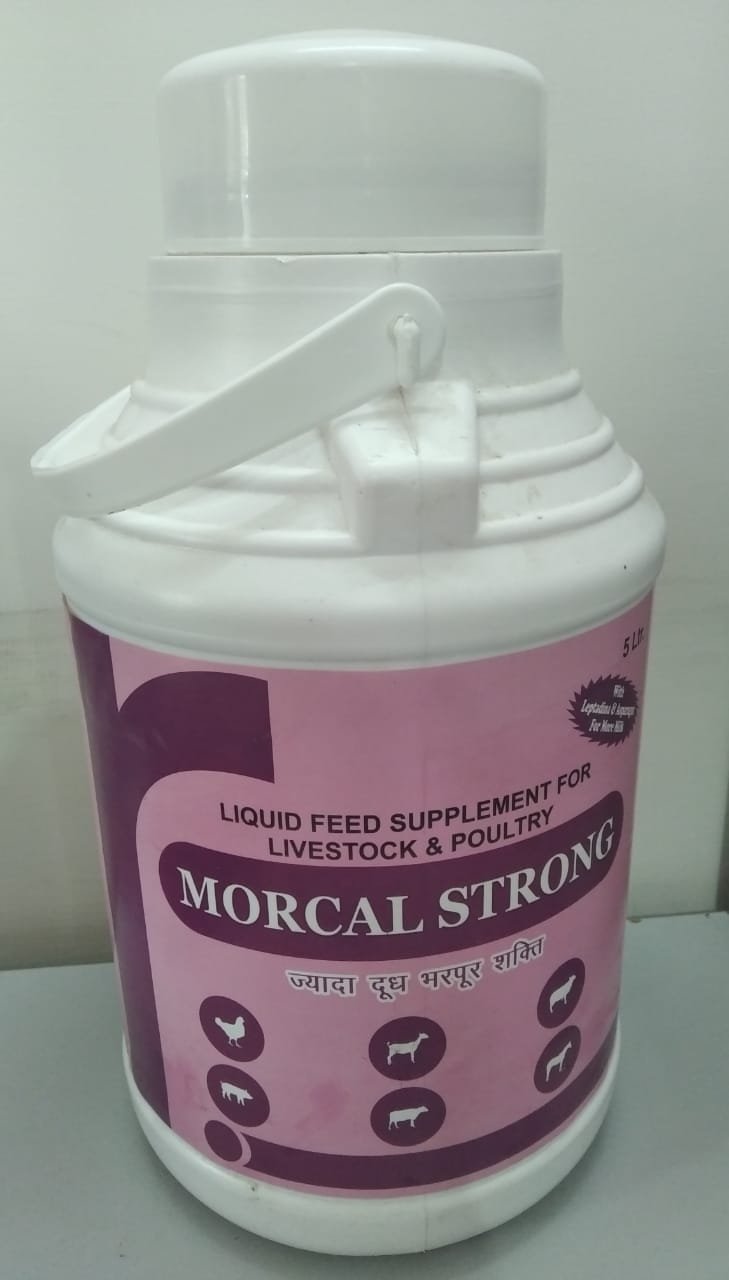 MORCAL STRONG 5LTR